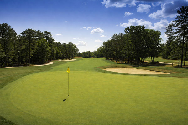 Golf course water and green
