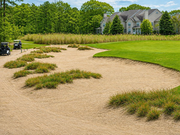 Pine Ridge bunker and fairway